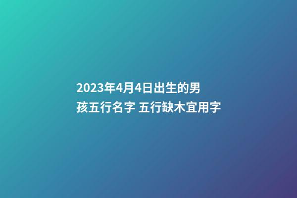 2023年4月4日出生的男孩五行名字 五行缺木宜用字